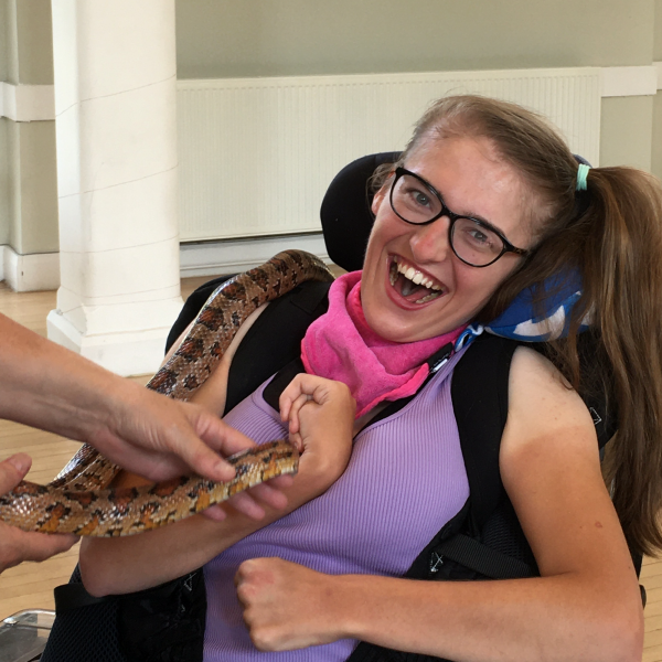 Summer Socials Animals 1