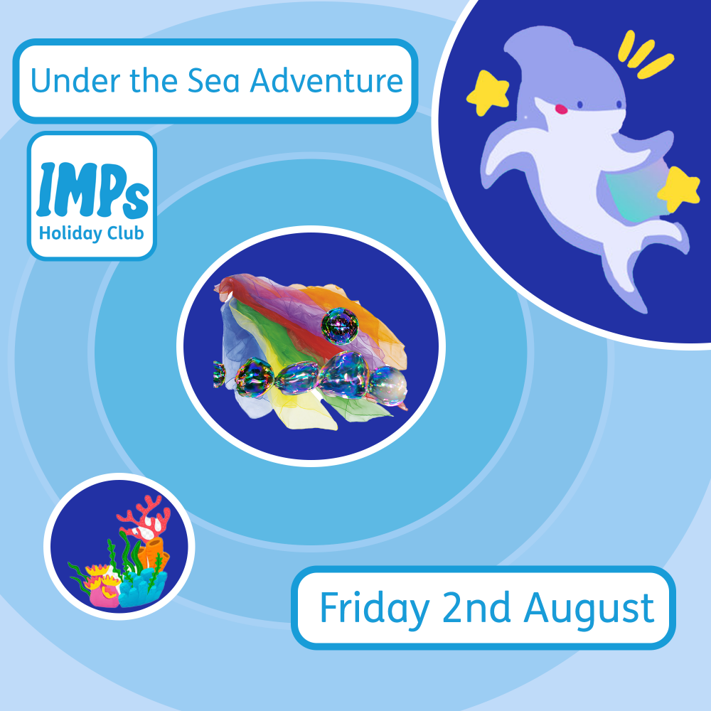 A cartoon image of a dolphin, a colourful sea shell and some seaweed