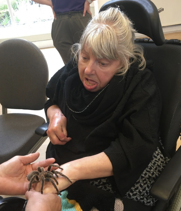 A woman with grey hair wearing black softly handles a brown tarantula 